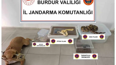 Burdur'da Hayvanat Bahçesi Gibi Ev Bulundu