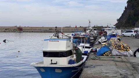 Zonguldak'ta Hamsi Yoğunluğu Artarken Palamut Yok