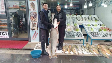 Batman'da Dev Turna Balığı Sergileniyor