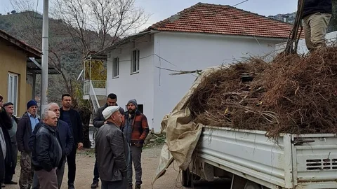 Köşk'te Kestane Fidanı Dağıtımı Gerçekleşti
