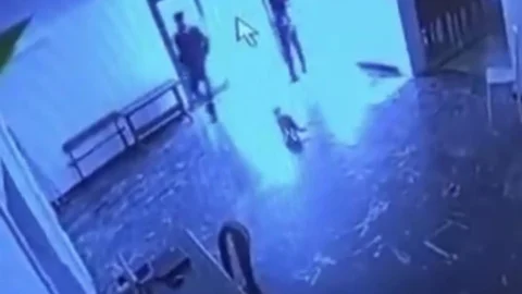 Elazığ'da Kediye Tekme Atan Görevli