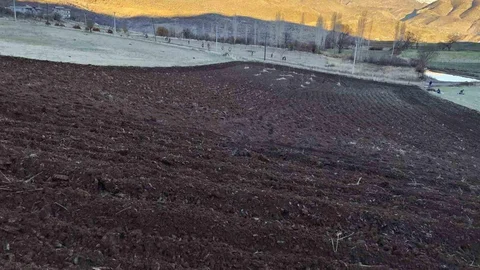 Şırnak'ta Arpa Ekimi Başladı