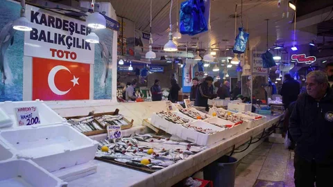 Hamsi Yerini İstavrite Bıraktı Sakarya'da