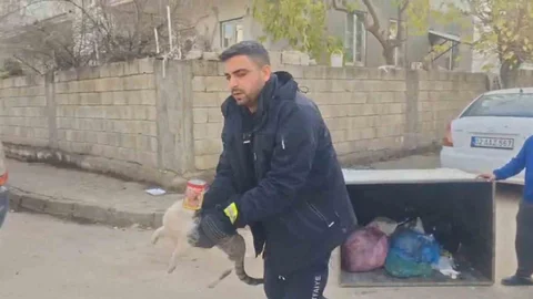 Adıyaman'da Konserve Kutusuna Sıkışan Kedi Kurtarıldı