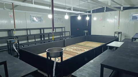 Manisa'da Horoz Dövüşü Baskını