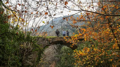 Çaybaşı Deresi'nde Doğanın Güzellikleri