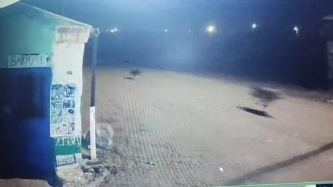 Kars'ta Kurt ve Tilki Kovalamacası