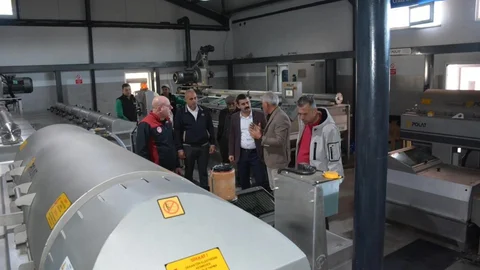 Köyceğiz'de Zeytinyağı Fabrikası Ziyareti