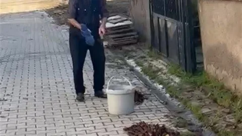 Kütahya’da Temizlik Dersi Veren Yaşlı Adam