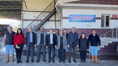 Muğla'da Kooperatifçilik Güçleniyor