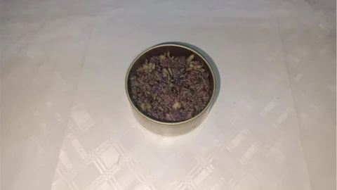 Artvin’de Yayla Çayı Çiçeği Kaçakçılığına Müdahale