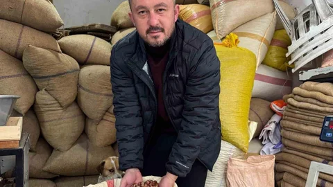 Giresun'da Fındık Fiyatları Yükseldi