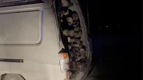 Gönen ve Manyas'ta Odun Hırsızlığı Yakalandı