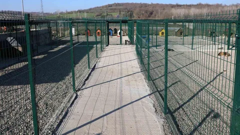 Bartın'da Hayvan Yaşam Merkezi Kuruldu