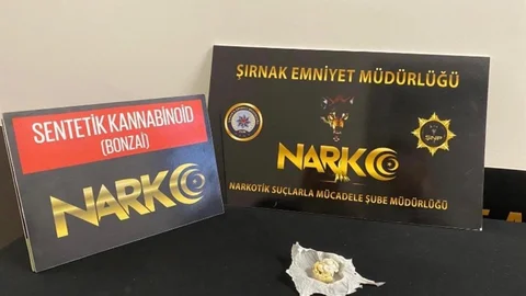 Şırnak'ta Narkotik Operasyonu Sonrası 4 Tutuklama