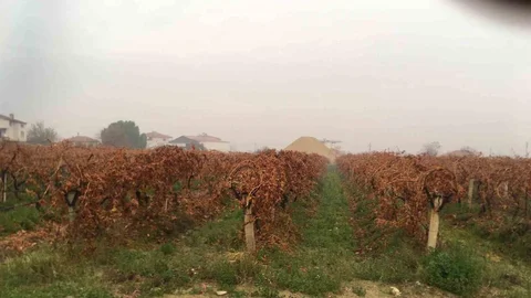 Manisa'da Beklenen Yağmur Geldi