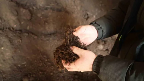 Kocaeli'de Torf Üretimi ile Tasarruf