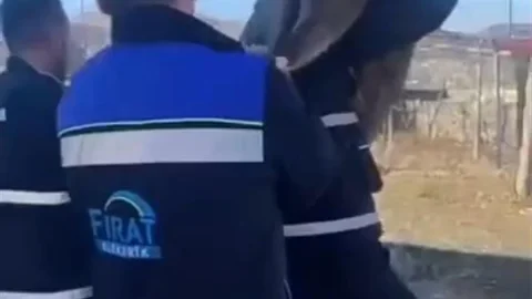 Yaban Keçisi Çit İçinde Sıkıştı, Kurtarıldı