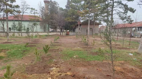 Umraniye Köyü'nde 300 Fidan Dikildi