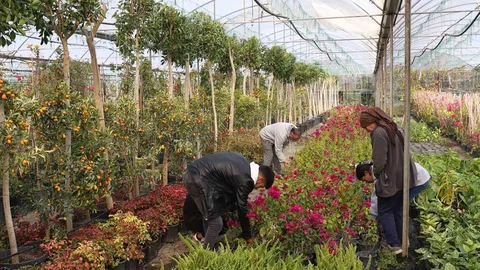 Muğla'da Yerel Kalkınma Projesi
