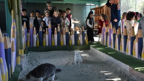 Küçük Dostlar Ambulansı ile 10 bin hayvan kurtarıldı