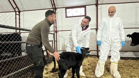 Pertek'te Genç Veterinere Destek Verildi
