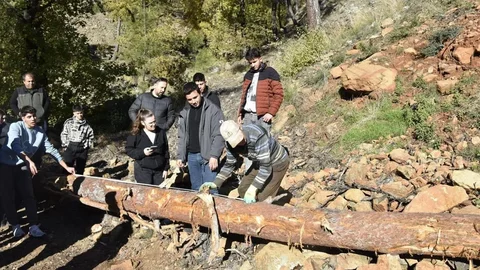 Köyceğiz'de Ormancılık Eğitimi Uygulamaları