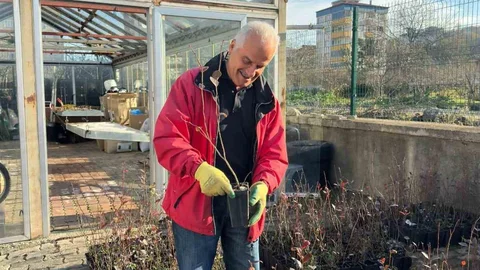 Giresun'da Mavi Yemiş Yetiştiriciliği Projesi