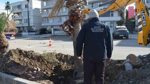 İskenderun Sahiline Modern Peyzaj Çalışması