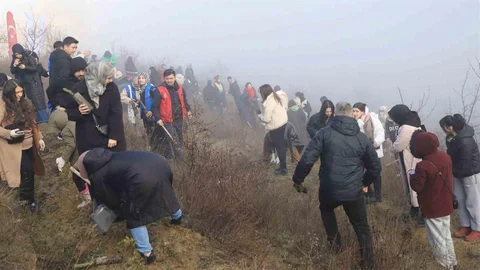 Karabük'te Fidan Dikimi Etkinliği