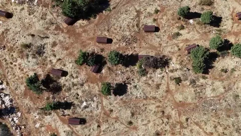 Sokak Hayvanları Adana’da Sıcak Yuva Buldu