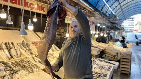 Mersin'de Nadir Görülen Atlas Balığı Yakalandı