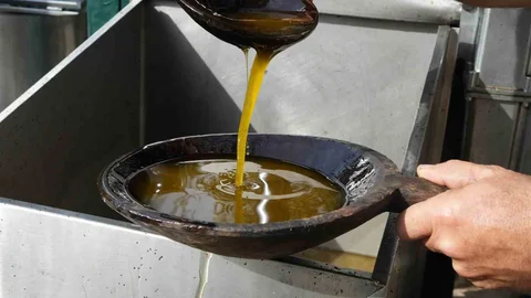 Zeytinyağında Taş Baskı Geleneği Yaşatılıyor