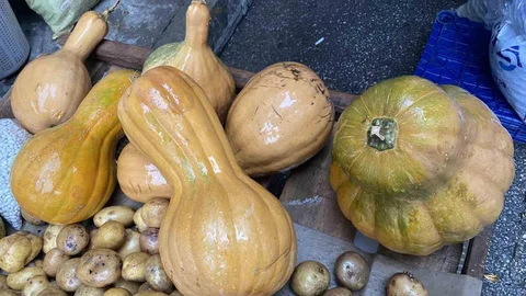 Manisa'da Bal Kabağı Faydaları