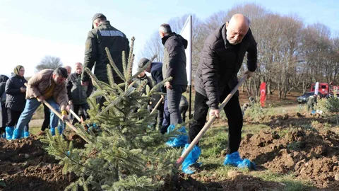 Bolu'da Hatıra Ormanı Oluşturuldu