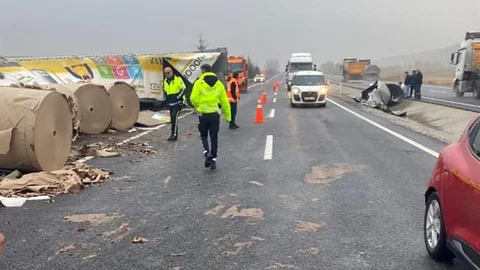 Yaban Hayvanı Trafik Kazasına Neden Oldu