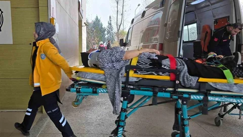 Ticari Araç Ağaca Çarptı İki Yaralı