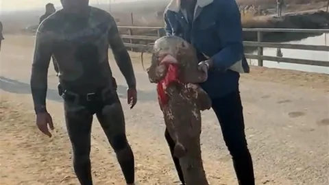 Iğdır'da İlginç Balık Avı Yöntemi