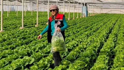 Buharkent’te Pestisit Denetimi Yapıldı