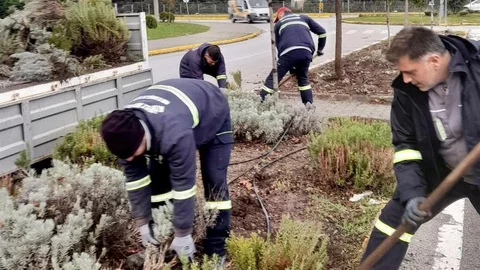 Körfez'de Yeşil Alanlar Canlanıyor