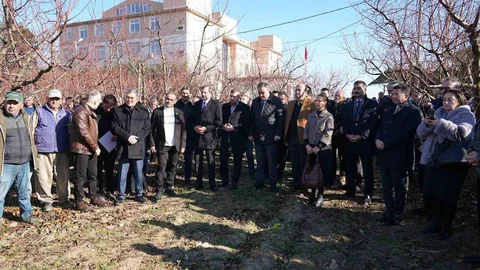 Gürsu'da Sürdürülebilir Tarım Modeli Başarıyla Tamamlandı