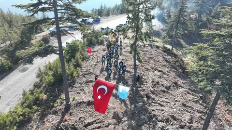 Feke'de 1 Ton Sedir Tohumu Toprakla Buluştu