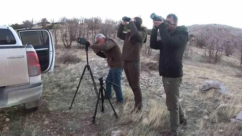 Adıyaman'da Yaban Keçileri Sayılıyor