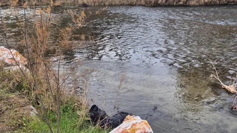 Ege Ekspresi'nin Çarptığı Yaya Hayatını Kaybetti