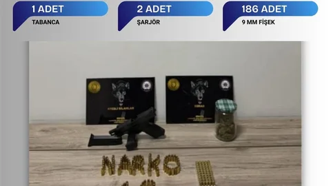 Bingöl'de Tabanca ve Mühimmat Ele Geçirildi