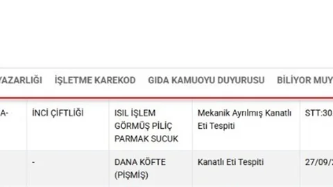 Kayseri'den İki Firma Bakanlık Listesinde Yer Aldı