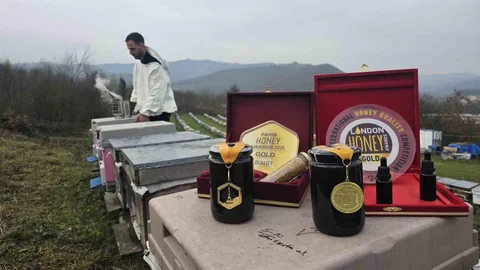 Zonguldak'ta Ödüllü Kestane Balı Üretimi