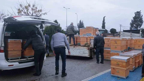 Babaeski'de Arı Kovanı Dağıtımı Yapıldı