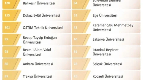 Bursa Uludağ Üniversitesi YÖK Raporunda Öne Çıktı