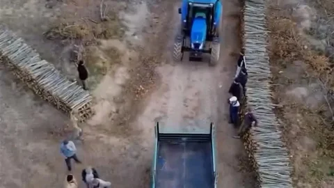 Sinop’ta Orman Köylüsüne Destek Veriliyor